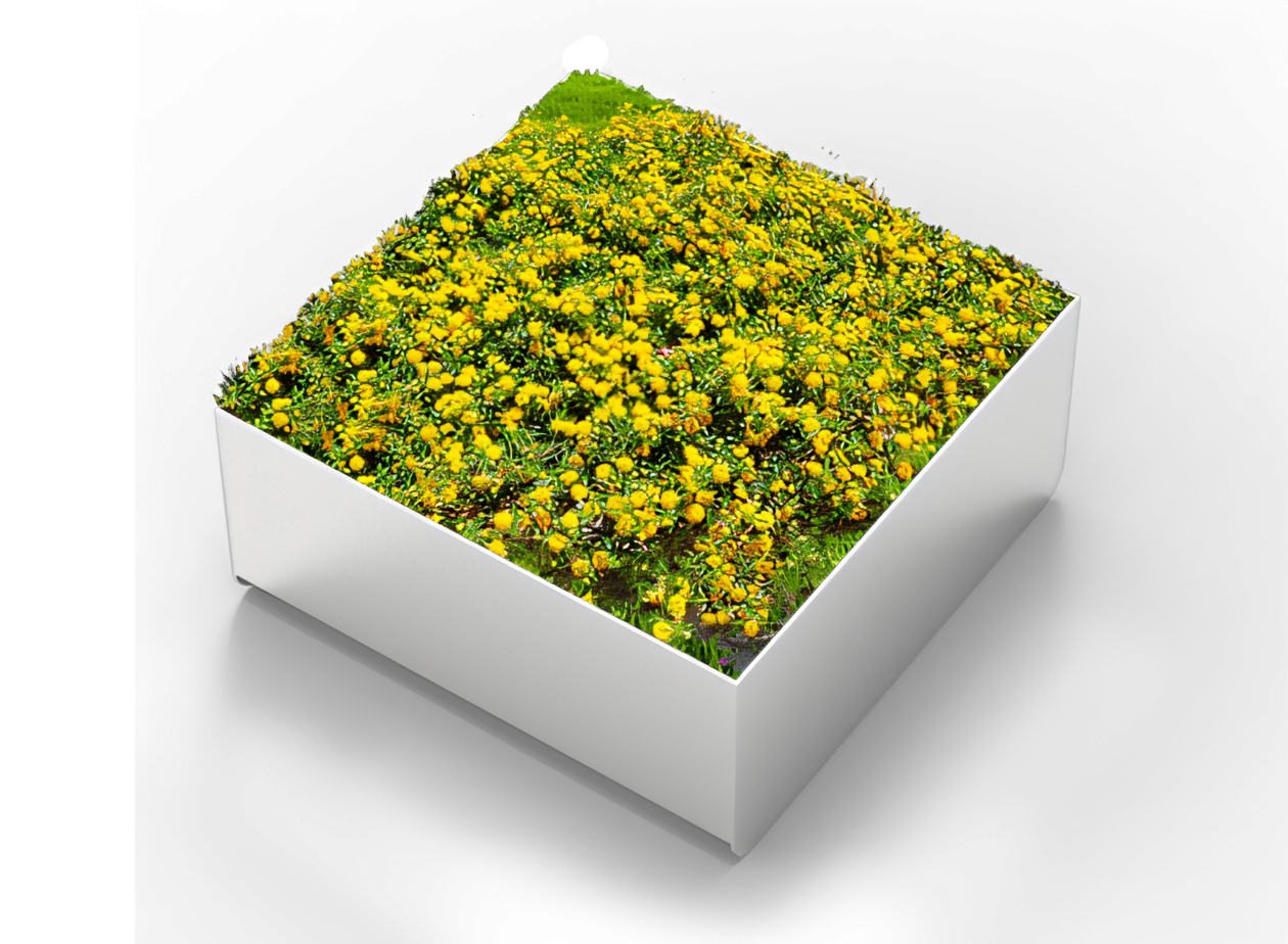 Orbit-Pflanzk&uuml;bel von ZANO aus Edelstahl