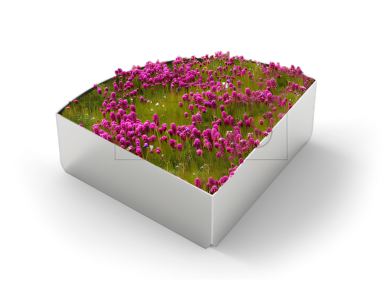 Pflanzk&uuml;bel 06.450 Orbit von ZANO aus Edelstahl